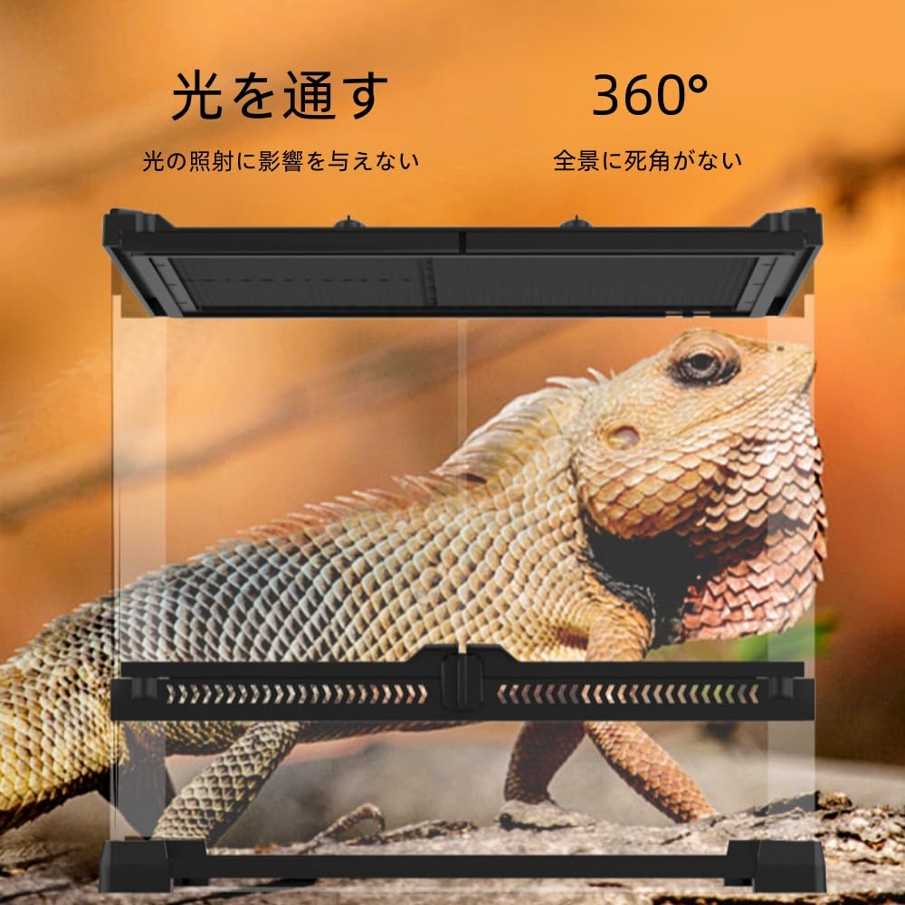 Amazon | VJR爬虫類飼育ケージ 両開きフロントドア 爬虫類飼育ケージ